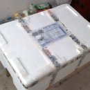 상어네 간식 이미지