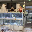 드림독 강아지분양 안심분양센터 부천점 이미지