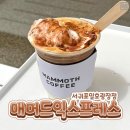 매머드익스프레스서귀포일호