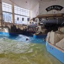 오션어드벤처 | 소노벨천안 오션어드벤처 후기｜아이 동반 워터파크 이용 팁