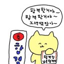 63국시