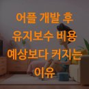 지식인력개발형태 | 어플 개발 후 유지보수 비용 예상보다 커지는 이유