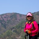 벌떼유통 이미지