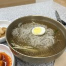 둥지밀면 | 2025년 소소한 냉면 투어(내돈내산)