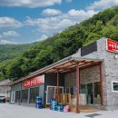 댕댕맛집 이미지