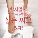 다모아사우나 이미지
