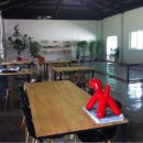 오마이독(oh my dog) 이미지