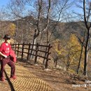 태백산목장 이미지