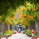 부천중앙공원 이미지