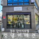 봉황로 | 경주월드 근처 강아지 맡길만한곳 멋댕이 애견놀이방 후기