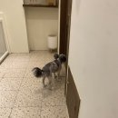 몽개구름 이미지