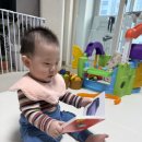 오빠야마트 | [육아일기] 9개월 즐거운 일상 그리고 이앓이