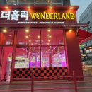 더뽑기 | 구래동 인형뽑기 더홀릭 원더랜드 후기