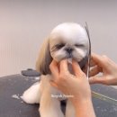 몽톡 이미지