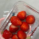 보라매차고지 | 칭구들도 만나고 맛있는 거도 많이 먹고.. 최고딸기도 만남