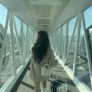 니가조개니;이레뷰티 | (내 사진이 더 많은)부산여행