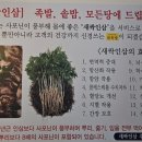 한방명가왕족발 이미지