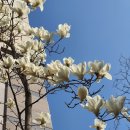 약대아이파크공인중개사사무소 이미지