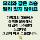 잃어버린것들을찾아서 이미지