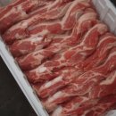 해빛태권도장 이미지