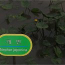 아마준 이미지