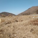 대전리농장 이미지