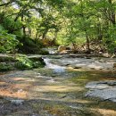 도림사계곡 이미지