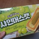 펭귄고기