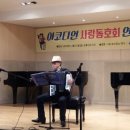 코스모스악기 이미지