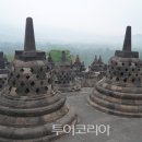 코리아레포츠