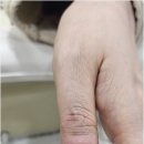 파나슈 뷰티