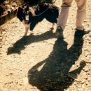 꽃마을 약수터 이미지