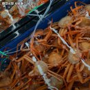 태전동 574-2 | 대구 북구 태전동 맛집 매천시장 사람들 메뉴가격운영시간리뷰주차