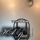 하로스파 이미지