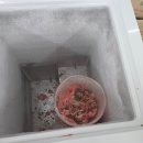 미소셀프식당 | 시흥 배곧 8800원 뷔페, 미소셀프뷔페 솔직후기