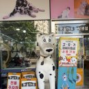 인천 대형 애견용품점 추천｜부평 펫마트 깜비포비랑 다녀온 후기 🐶