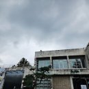 [성인] 그림책 연극으로 마음성장하기 | 코 잃은 코끼리 코바@경기상상캠퍼스 : 신선한 패브릭 오브제극 솔직 후기