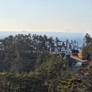 충청남도 태안군 솔향기길야영장, 후기, 리뷰, 영업시간