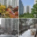 여의도종합상가 사거리 (미성아파트 방면 횡단보도) | 서울 6억대 숲세권 대단지? 강북구 미아동 북한산SK시티 24평 완벽 분석