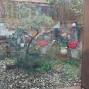 전주한옥마을소리울 이미지