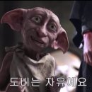 하루몽 네이버블로그