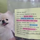 멍이네 수제간식 이미지