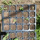 가든이용소 이미지