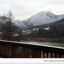 산천초목민박 이미지