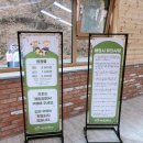 마루목장 | 평창 아이와 가볼만한곳! 대관령양떼목장 방문 먹이주기체험 후기