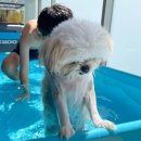 라인종로약국 이미지