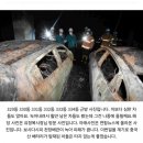 다시 확인된 중국산 배터리의 위험성 이미지