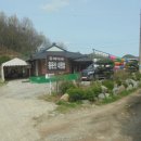 용문산 은행나무길(물소리길 6코스) 이미지