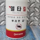 버그킬 | 베드버그퇴치제 델타킬 사용 후기, 집에서 완벽 해결!