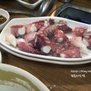 이문어세상 이미지
